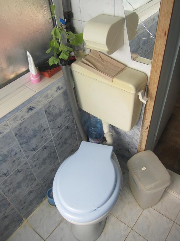 Diana Guesthouse فيليكو ترنوفو المظهر الخارجي الصورة