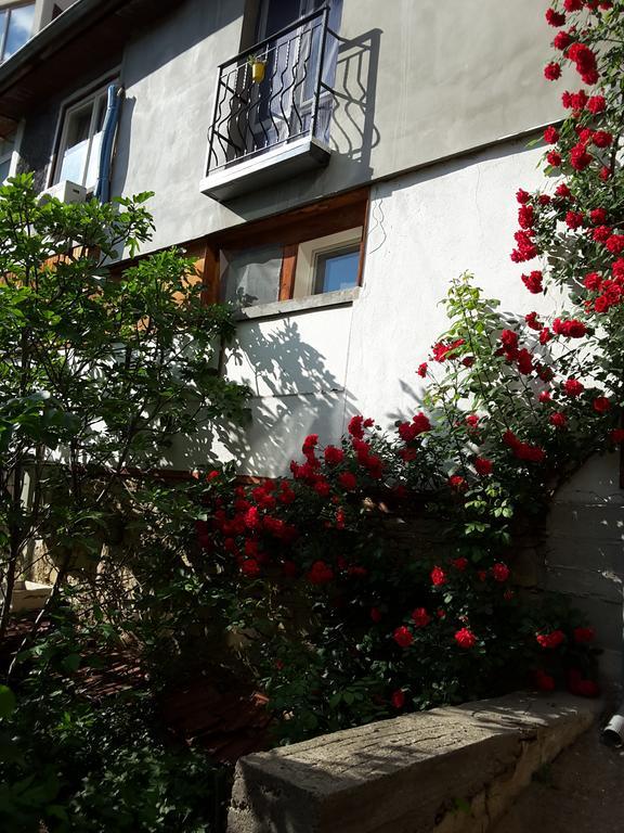 Diana Guesthouse فيليكو ترنوفو المظهر الخارجي الصورة