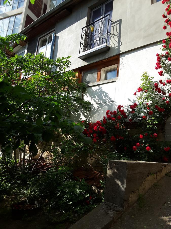 Diana Guesthouse فيليكو ترنوفو الغرفة الصورة